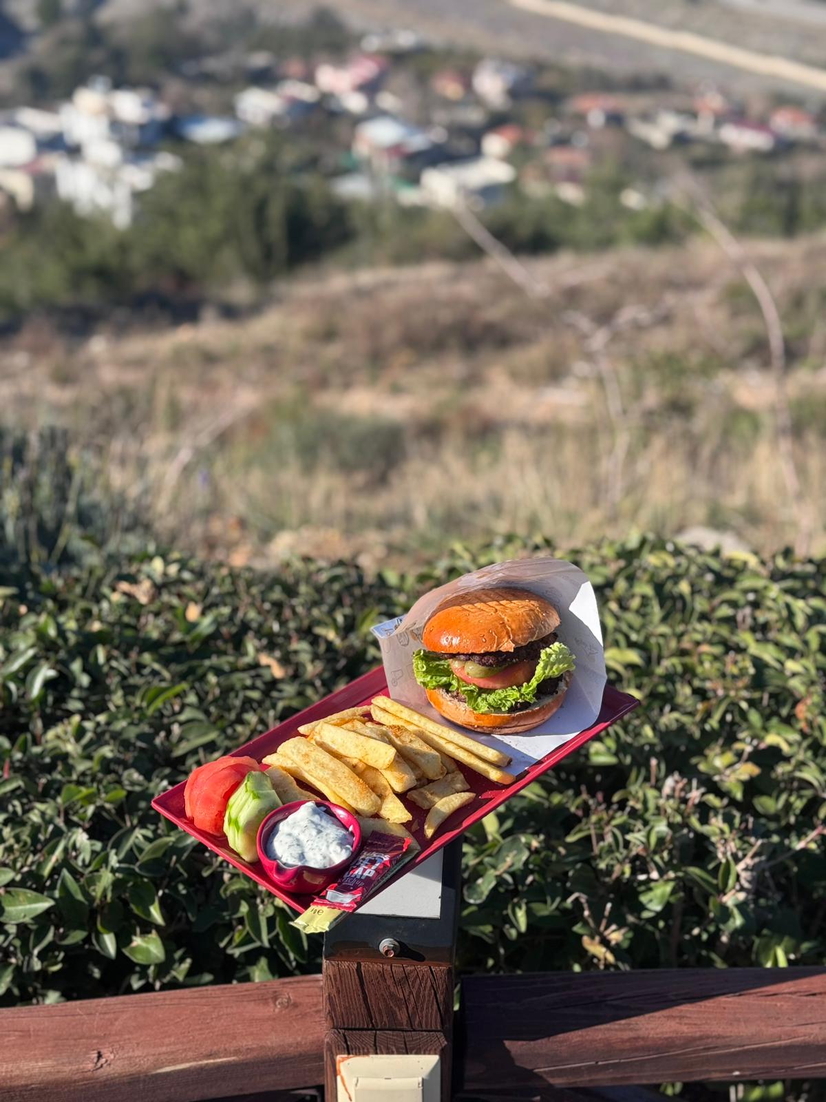 Hamburger Çeşitleri